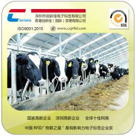 RFID动物电子标签 环保动物耳标 猪牛羊耳标 超高频电子标签厂家，农场畜牧业养殖监控管理