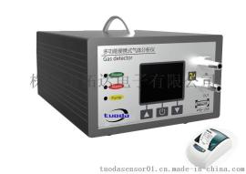 手提式氢气分析仪、手提式氢气检测仪TD800-H2