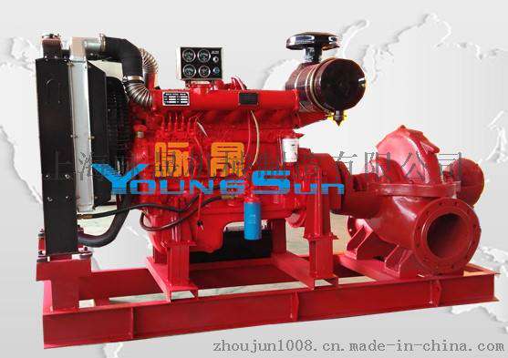 200ZS300-30-45-4双吸柴油机排污泵